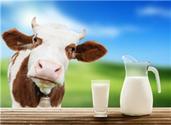 跨境电商现鲜奶直供和商场引入新模式