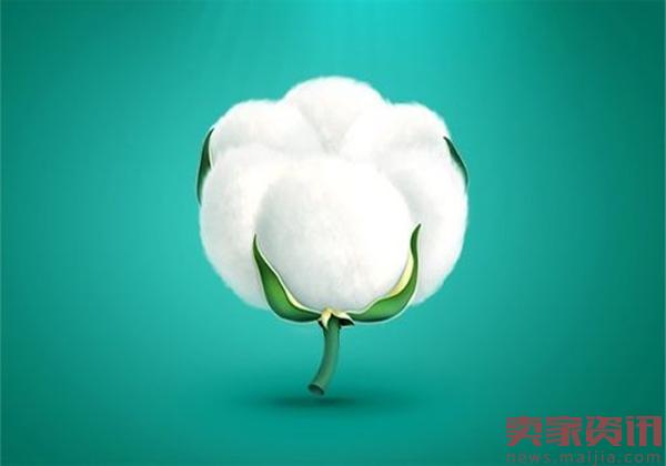 全棉时代：一朵小棉花，凭什么改变世界？