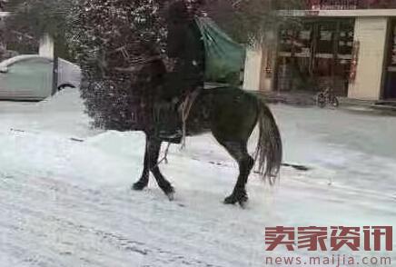内蒙古突降暴雪，快递员骑马送包裹
