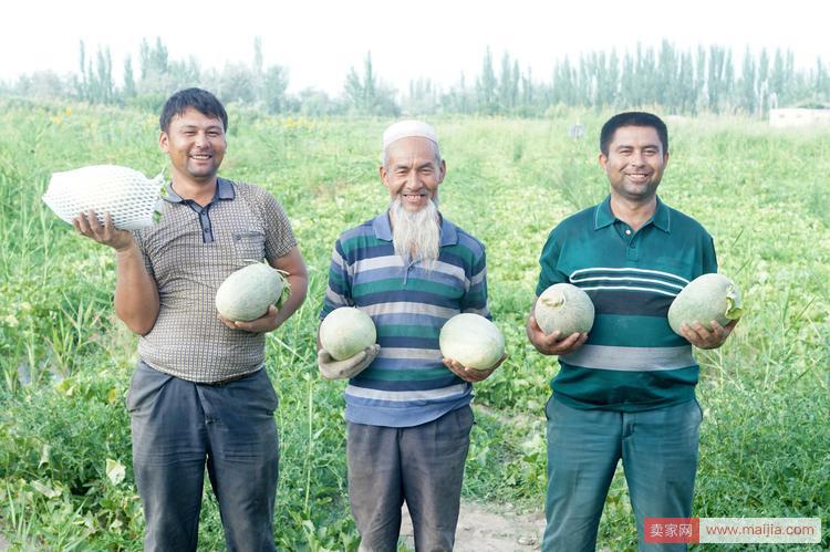 把瓜种到互联网，村淘让新疆农民收入涨十倍