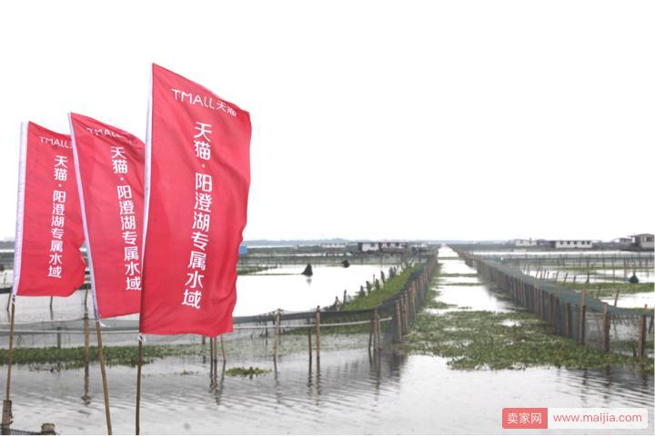 天猫1分钟售出14万只大闸蟹，创下中国纪录！