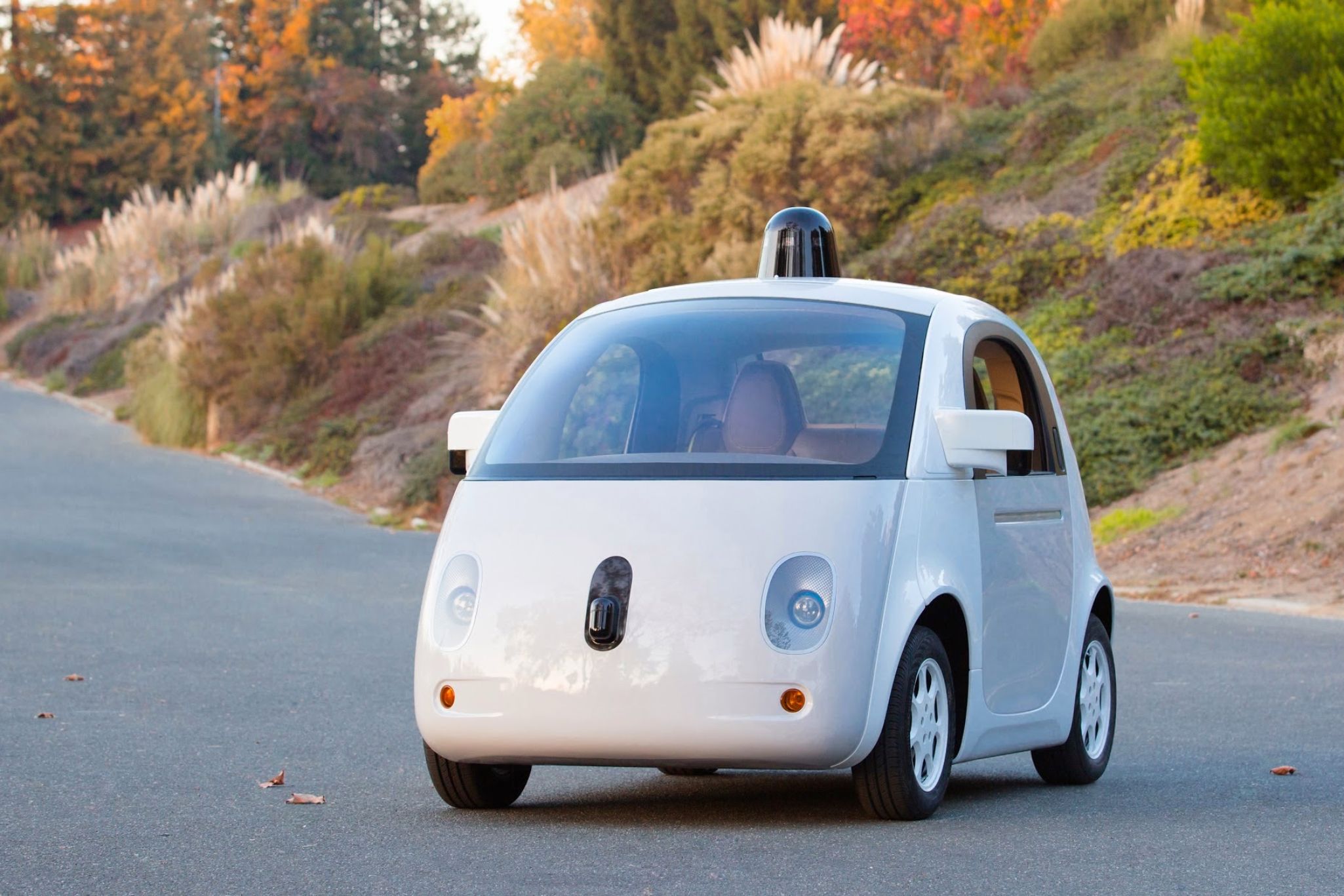 Google-Self-driving-Car.jpg