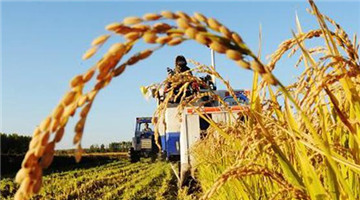 全国“农产品上行与电商扶贫”活动