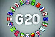 G20各国受中国消费者青睐的海淘产品