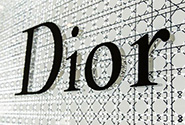 Dior举行股东大会,2016财年利润大跌7.5%