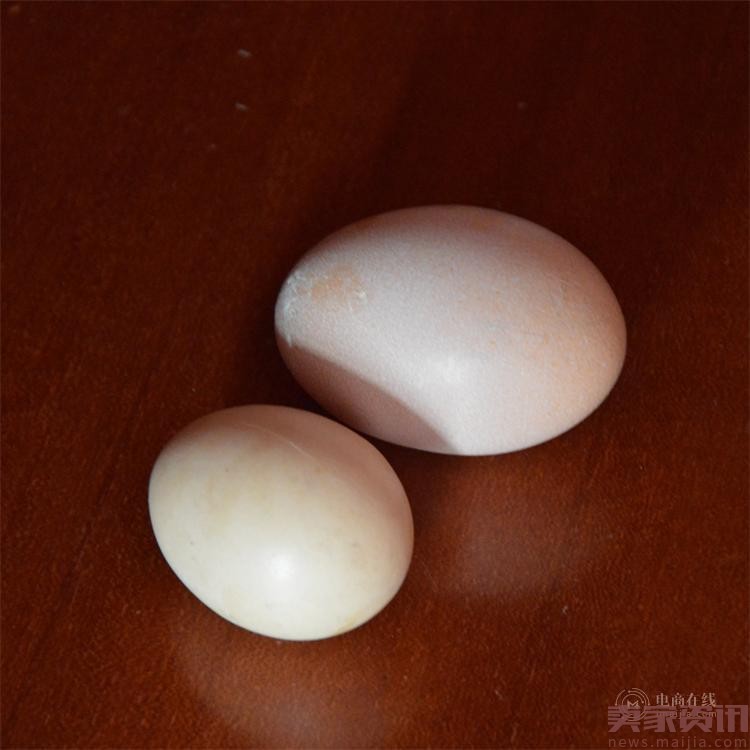 安徽版刘能：网售土鸡蛋，月入10万元
