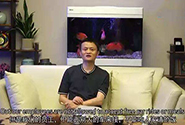 马云自拍了个视频，讲述自己的创业史