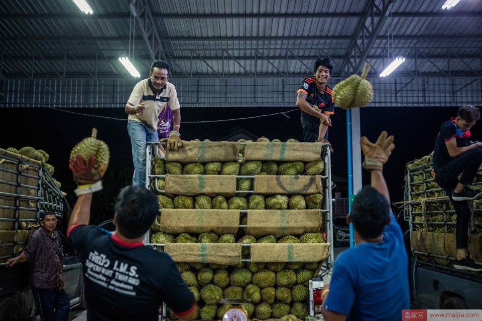 中国吃货有多强？泰国榴莲每天往中国发500箱